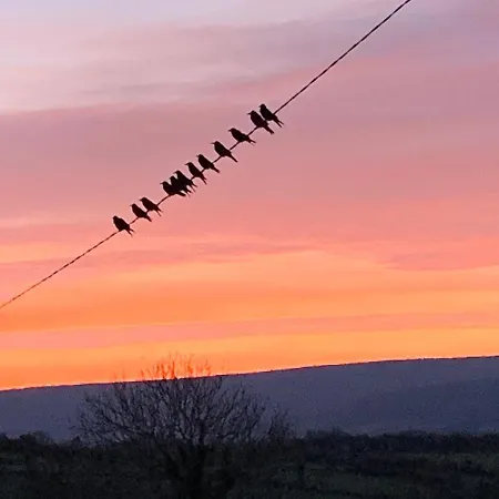 Burren Court *