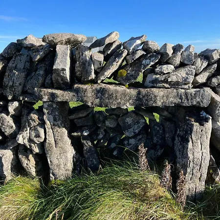 Burren Court *