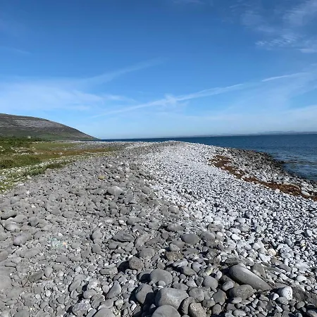 Lejlighed Burren Court