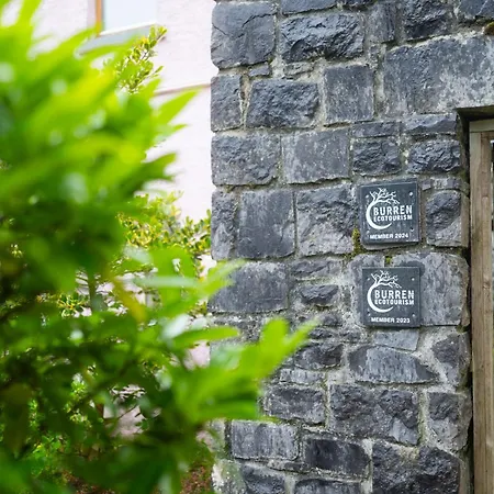 Burren Court Homes