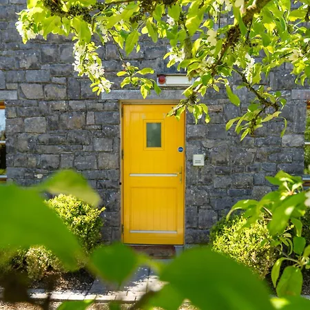 Burren Court Apartamento *