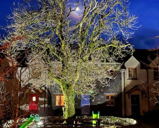 Burren Court شقة