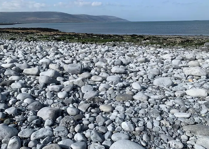 Burren Court باليفاوغان