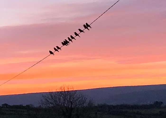 Burren Court *