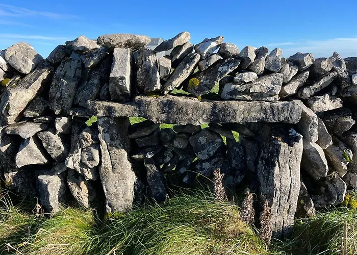 Burren Court Homes *