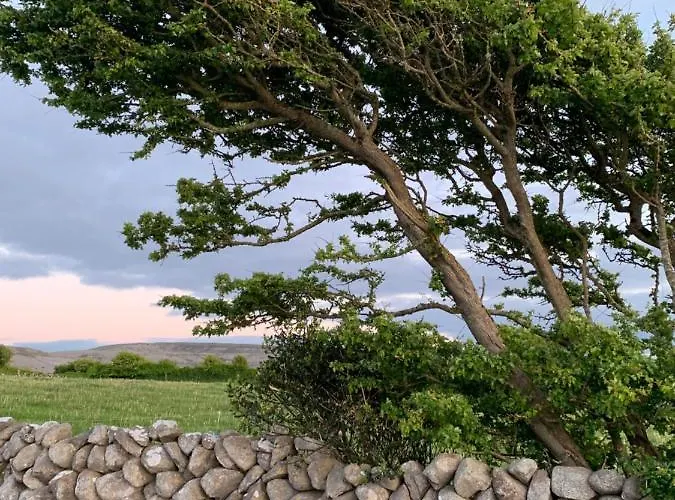 Burren Court * باليفاوغان
