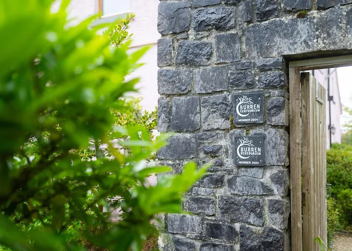 Burren Court Homes