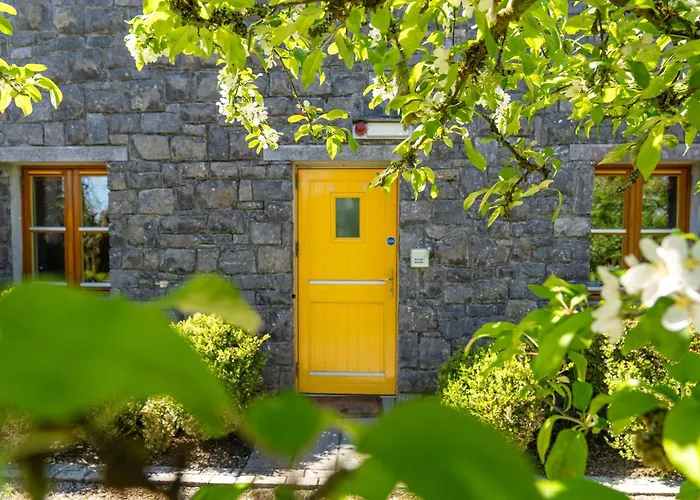 Burren Court شقة *